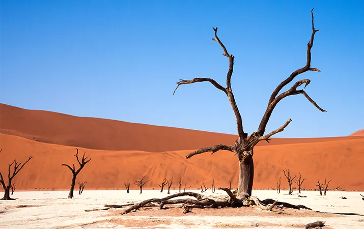 Sossusvlei red sand dunes Namib Desert Namibia